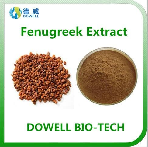 Top quality Natural Organic Fenugreek seed Extract
